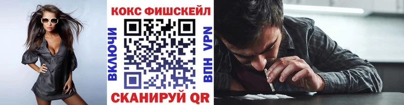 COCAIN Fish Scale  KRAKEN сайт  Питкяранта 