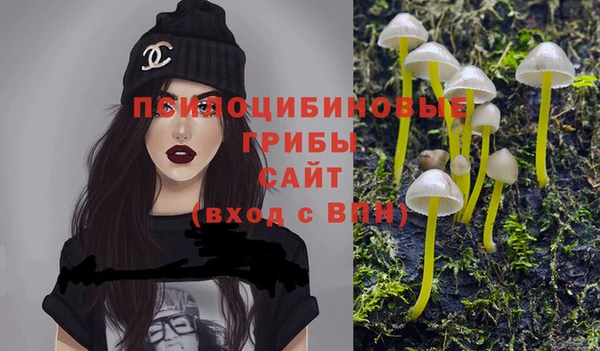 тгк Алексеевка