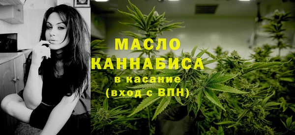 тгк Абаза