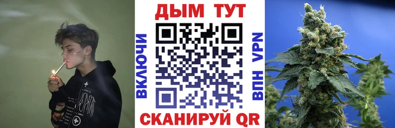 Бошки марихуана AK-47  купить наркотик  Питкяранта 